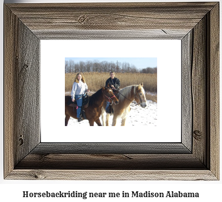 horseback riding near me in Madison, Alabama